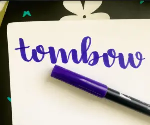 How To Use Tombow Dual Brush pens For Beginners